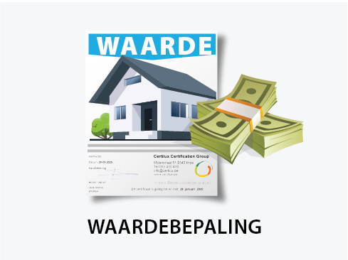 Professionele Schatting